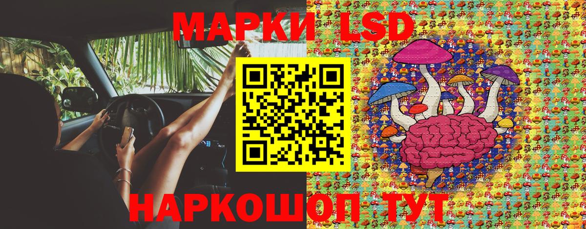 Наркотические марки 1,8мг  Вход с VPN  Наркотические марки 1,8мг  Биробиджан 